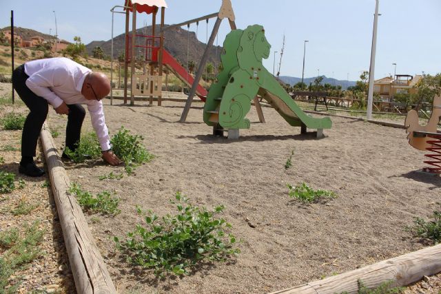 Ciudadanos Cartagena critica la falta de mantenimiento y el abandono en la red de urbanizaciones de Isla Plana - 1, Foto 1