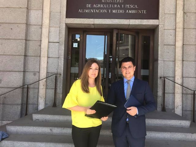 La reparación del pantalán de Santiago de la Ribera lo asumirá el Estado - 1, Foto 1