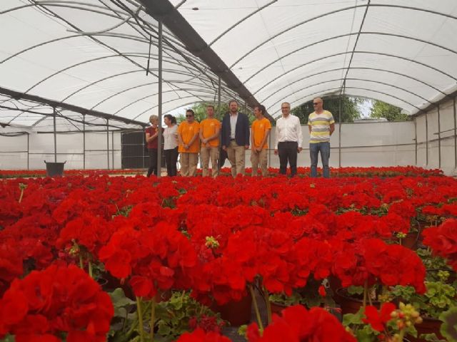 El vivero municipal de El Mayayo producirá 120.000 plantas de diferentes especies antes de que acabe el año - 1, Foto 1