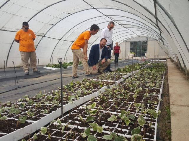 El vivero municipal de El Mayayo producirá 120.000 plantas de diferentes especies antes de que acabe el año - 2, Foto 2