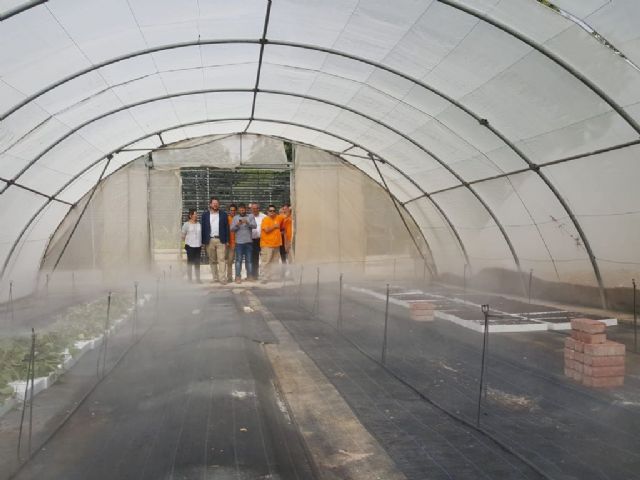 El vivero municipal de El Mayayo producirá 120.000 plantas de diferentes especies antes de que acabe el año - 3, Foto 3