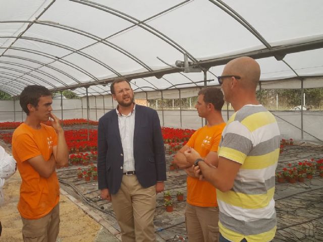 El vivero municipal de El Mayayo producirá 120.000 plantas de diferentes especies antes de que acabe el año - 4, Foto 4