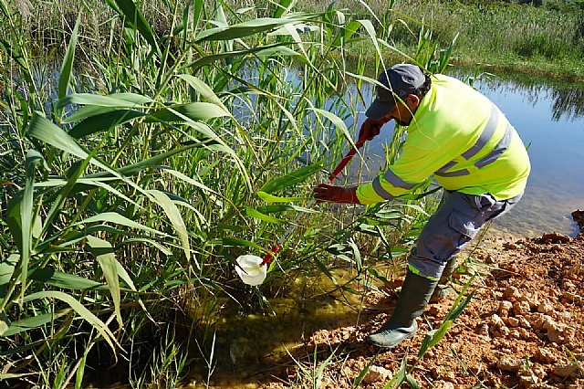 Lokímica refuerza su estructura para combatir a los mosquitos y reducir los riesgos de transmisión de enfermedades - 1, Foto 1