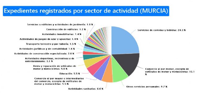 Detalle de los ERTE por actividad económica en los 45 municipios de la Región - 1, Foto 1