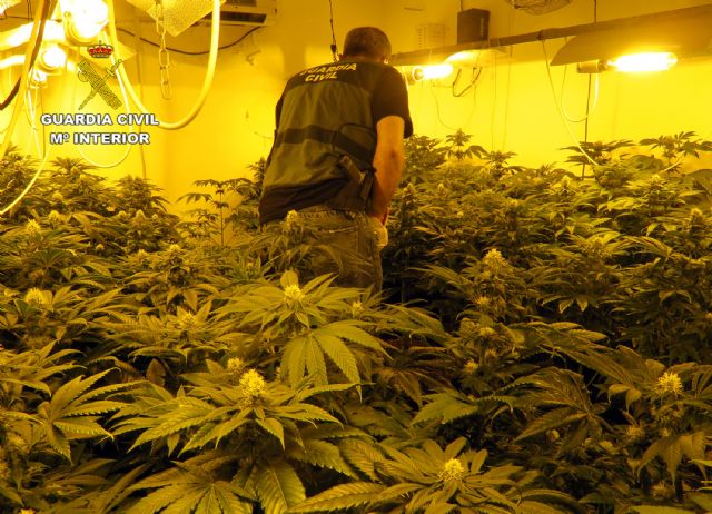 La Guardia Civil desmantela en Jumilla un grupo criminal dedicado al tráfico de drogas - 1, Foto 1