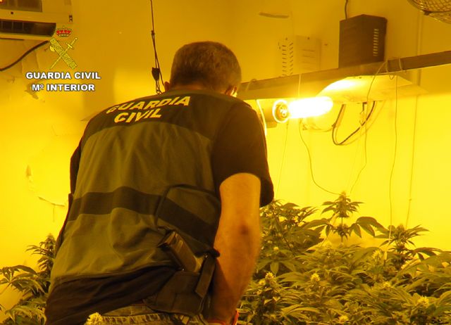 La Guardia Civil desmantela en Jumilla un grupo criminal dedicado al tráfico de drogas - 2, Foto 2