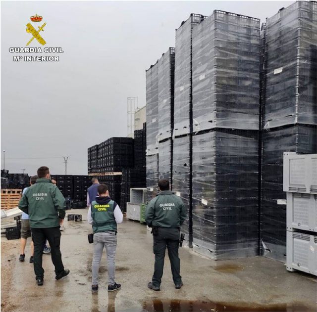 La Guardia Civil detiene en Callosa de Segura a un hombre que estafó más de 48.000 euros en cajas de plástico - 2, Foto 2