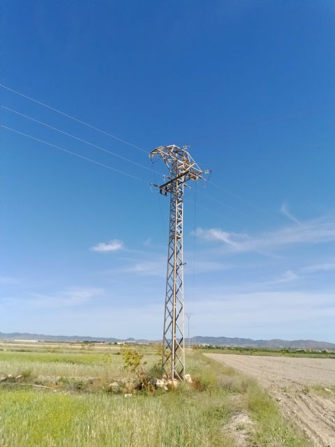 ANSE indica que, a pesar de lo publicado, el tendido donde se electrocutó el águila perdicera no había sido corregido - 2, Foto 2