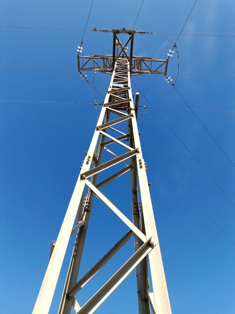 ANSE indica que, a pesar de lo publicado, el tendido donde se electrocutó el águila perdicera no había sido corregido - 3, Foto 3