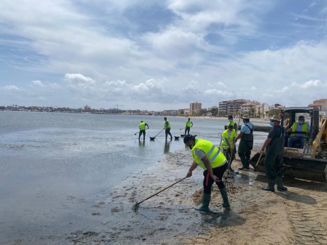 Comunidad y Ayuntamiento continúan con la retira de biomasa en las playas del Mar Menor - 2, Foto 2