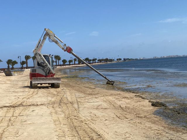 Comunidad y Ayuntamiento continúan con la retira de biomasa en las playas del Mar Menor - 3, Foto 3