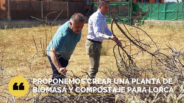 El PP propone construir una planta municipal de biomasa y compostaje - 1, Foto 1