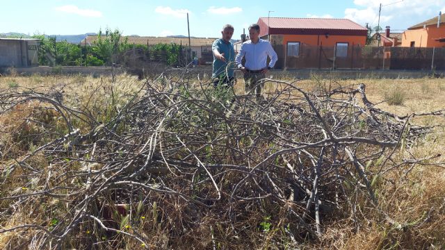 El PP propone construir una planta municipal de biomasa y compostaje - 3, Foto 3