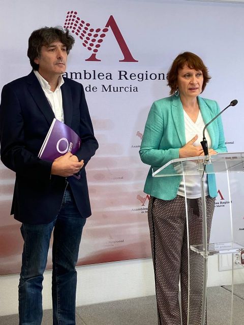 María Marín exige en la Asamblea acabar de una vez con la discriminación de las mujeres que abortan en la Región - 1, Foto 1