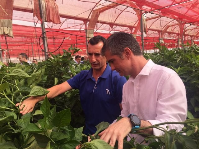 Cerca de 3.000 productores apuestan por la agricultura ecológica en la Región - 1, Foto 1