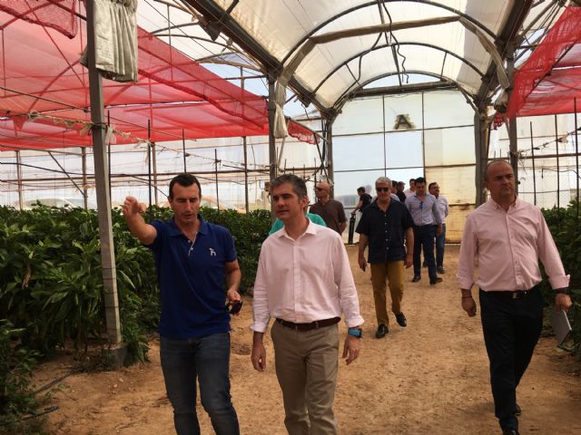 La cooperativa Hortamira dedica el 60 por ciento de su producción a la agricultura ecológica con el objetivo de llegar al 100 por cien - 1, Foto 1