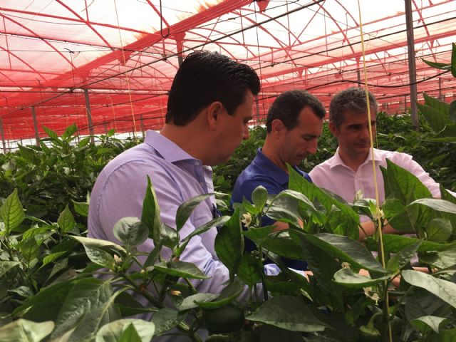 La cooperativa Hortamira dedica el 60 por ciento de su producción a la agricultura ecológica con el objetivo de llegar al 100 por cien - 2, Foto 2