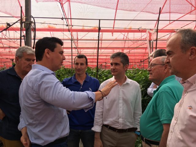 La cooperativa Hortamira dedica el 60 por ciento de su producción a la agricultura ecológica con el objetivo de llegar al 100 por cien - 3, Foto 3