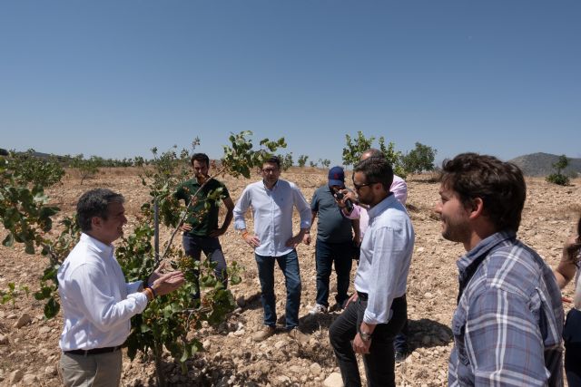 Un total de 176 agricultores y ganaderos del municipio de Caravaca solicitan las ayudas para la modernización de sus explotaciones - 3, Foto 3