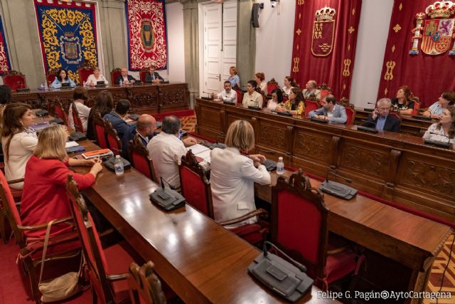 El pleno toma en consideración la renuncia de Manuel Mora - 1, Foto 1