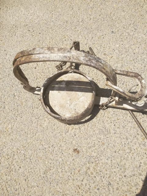 IU Lorca denuncia la colocación de cepos ilegales en Zarcilla de Ramos - 4, Foto 4