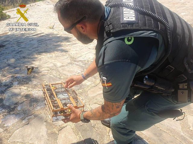 La Guardia Civil interviene casi una treintena de jilgueros capturados, al parecer, de forma ilegal - 1, Foto 1