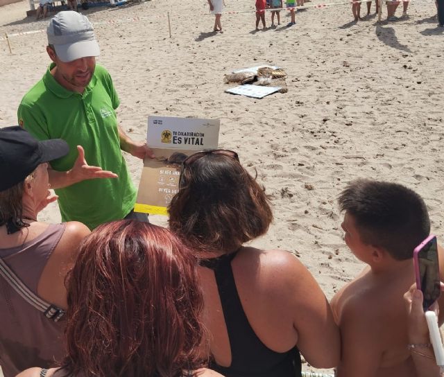 El Gobierno regional impulsa la formación de voluntarios para proteger a la tortuga boba en las costas de la Comunidad - 2, Foto 2
