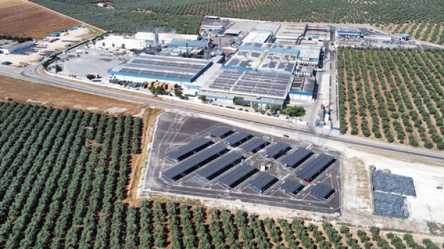 Agrosevilla incrementa un 19% su facturación impulsada por su estrategia de diversificación internacional - 1, Foto 1