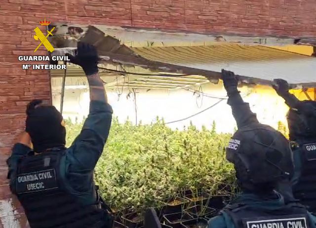 La Guardia Civil desarticula un clan familiar dedicado al cultivo y elaboración de marihuana - 3, Foto 3