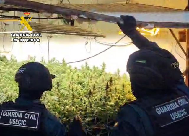 La Guardia Civil desarticula un clan familiar dedicado al cultivo y elaboración de marihuana - 4, Foto 4