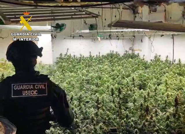La Guardia Civil desarticula un clan familiar dedicado al cultivo y elaboración de marihuana - 5, Foto 5