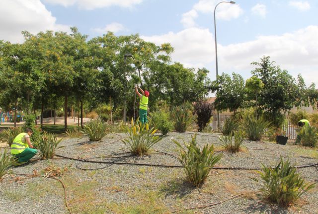 15 jóvenes del programa mixto de empleo y formación Puerto Green realizan prácticas remuneradas en Puerto Lumbreras - 2, Foto 2