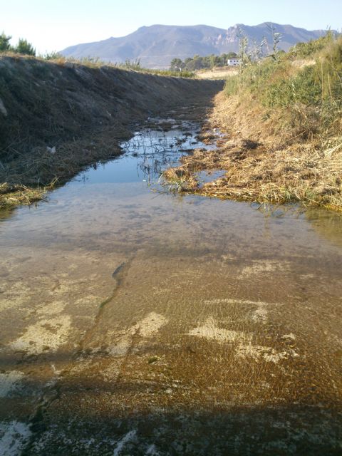 IU-Verdes denuncia el desbroce del cañaveral del tramo final de la Rambla del Agua Amarga - 1, Foto 1