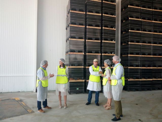La Concejal de Empleo, Empresas y Desarrollo y la Directora General de Relaciones Laborales visitan la cooperativa agroalimentaria ALIMER - 1, Foto 1