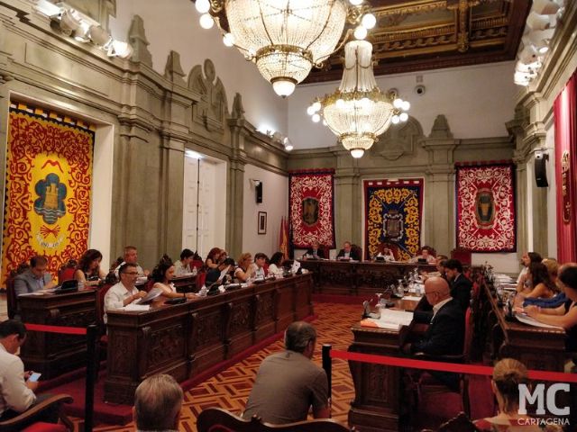 El Pleno municipal reprueba a la ministra socialista Ribera por amenazar los 40.000 empleos que genera la actividad de la Comunidad de Regantes del Campo de Cartagena - 3, Foto 3