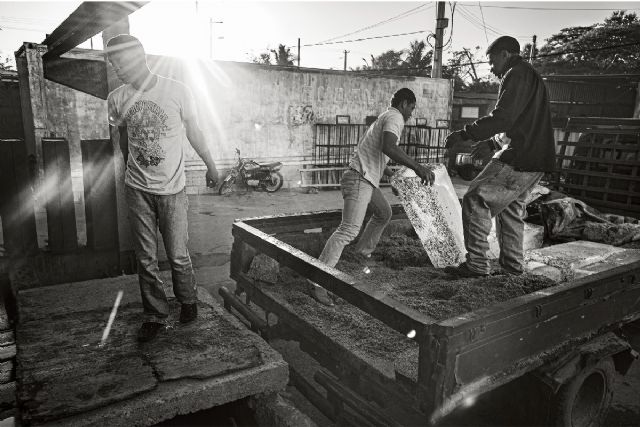 Las exposiciones de La Mar de Músicas siguen abiertas este verano - 1, Foto 1