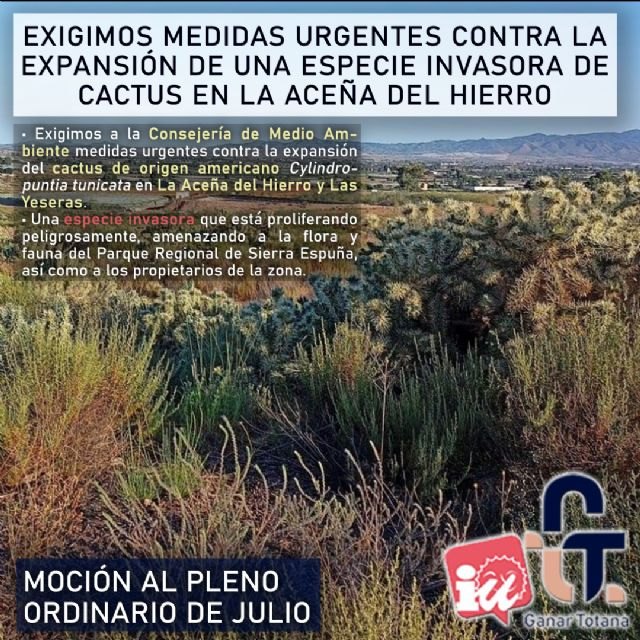 Ganar Totana-IU reclama al Gobierno Regional medidas urgentes para eliminar una especie invasora de cactus en La Aceña del Hierro, Foto 5