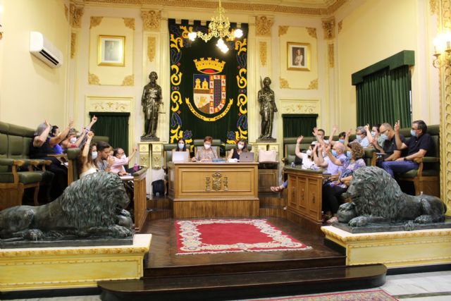 El pleno aprueba solicitar a la CARM que se haga cargo de la situación de descontrol del Hospital Virgen del Castillo - 1, Foto 1