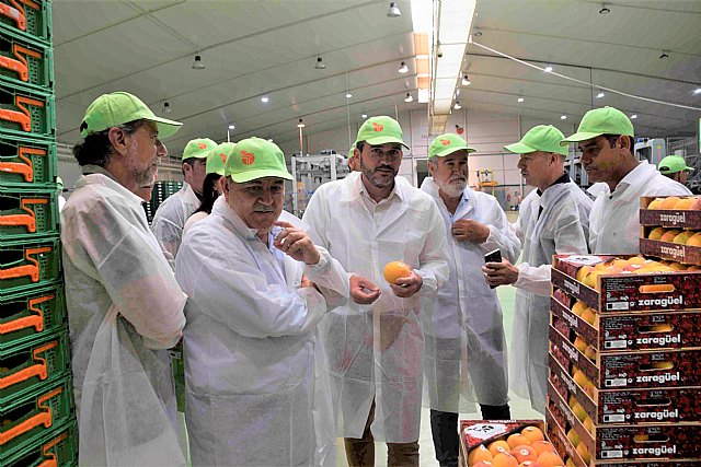 IGP Melocotón de Cieza - 1, Foto 1