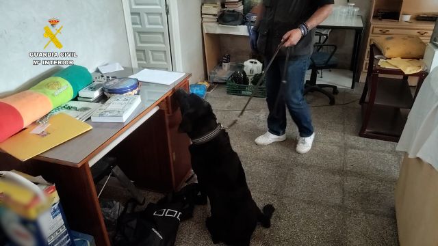 La Guardia Civil detiene a los presuntos autores de un robo con intimidación en una vivienda de Las Torres de Cotillas - 1, Foto 1