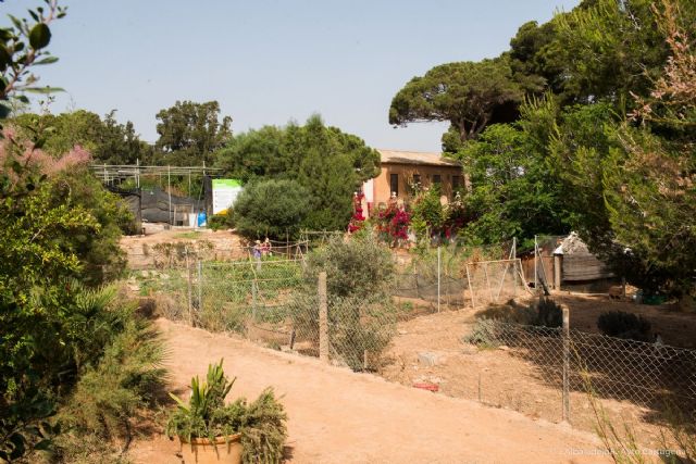 Educación promueve nuevos programas de respeto al medio ambiente, atención a la diversidad y cuidado de los animales - 1, Foto 1