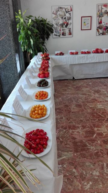 La Comunidad muestra a los agricultores los valores de variedades autóctonas de tomate frente a las comerciales - 1, Foto 1