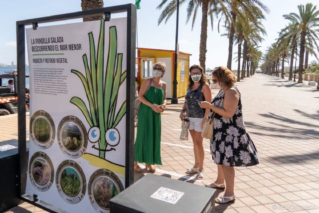 La exposición La Pandilla Salada, descubriendo el Mar Menor llega a Mar de Cristal - 1, Foto 1
