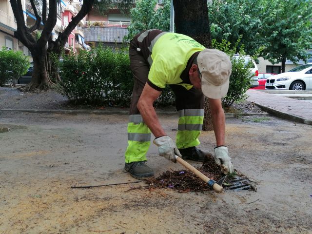 El Ayuntamiento revisa más de 3.000 imbornales situados en los parques y jardines del municipio ante las posibles alertas por lluvias de septiembre - 1, Foto 1