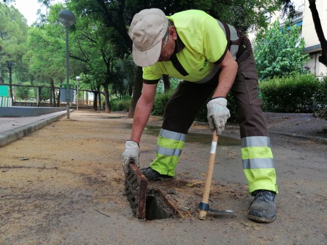 El Ayuntamiento revisa más de 3.000 imbornales situados en los parques y jardines del municipio ante las posibles alertas por lluvias de septiembre - 2, Foto 2
