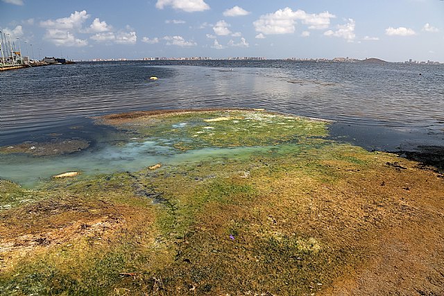 Los nitratos han sido una de las causas del deterioro de Mar Menor; pero no la única - 1, Foto 1