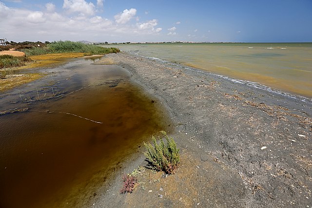 IU-Verdes insta al Ministerio de Transición Ecológica a iniciar la compra de terrenos alrededor del Mar Menor - 1, Foto 1