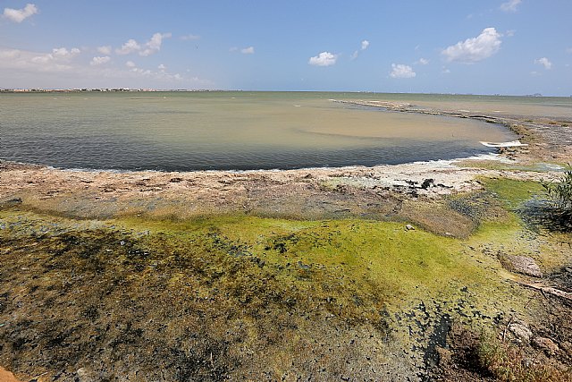 IU-Verdes insta al Ministerio de Transición Ecológica a iniciar la compra de terrenos alrededor del Mar Menor - 2, Foto 2