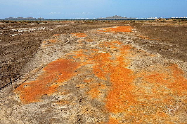 IU-Verdes insta al Ministerio de Transición Ecológica a iniciar la compra de terrenos alrededor del Mar Menor - 3, Foto 3