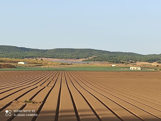 Denuncian el aumento imparable de la contaminación por nitratos de varias masas de agua subterránea del noroeste: Caravaca y Bullas-Bajo Quipar - 1, Foto 1